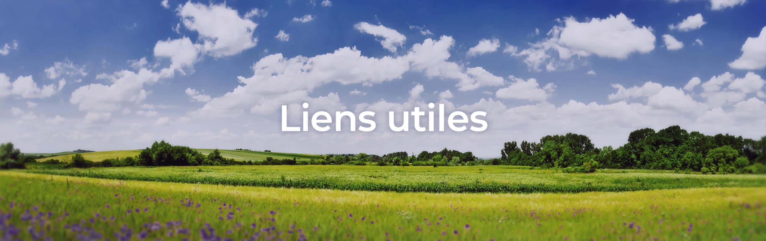 Liens utiles - Blueberry Hill